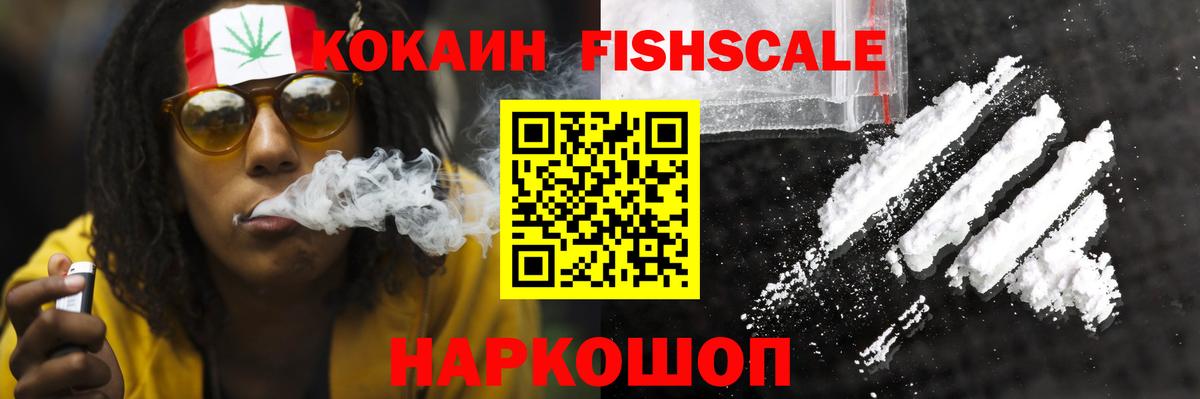 Пенза  Cocaine Fish Scale  Вход с VPN 