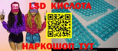 прущие грибы Северобайкальск